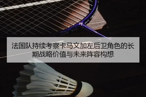 法国队持续考察卡马文加左后卫角色的长期战略价值与未来阵容构想